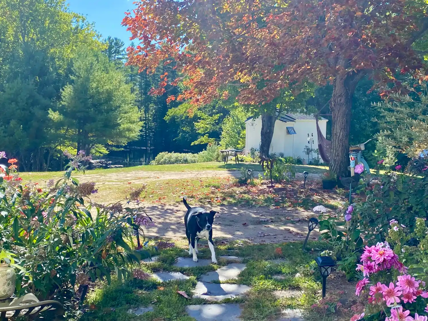 Flower-lined greenhouse pathway used as a seasonal photo backdrop at Hazels Homestead in Standish, Maine